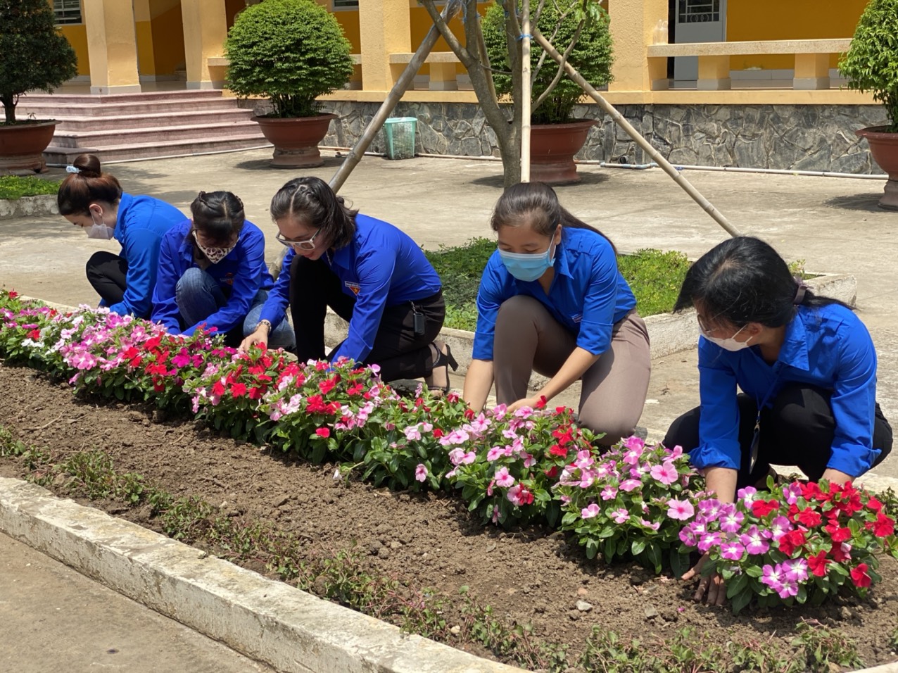 Đoàn viên Trường Tiểu học Phước Lý tích cực tham gia trồng cây trang trí khuôn viên trường học.
